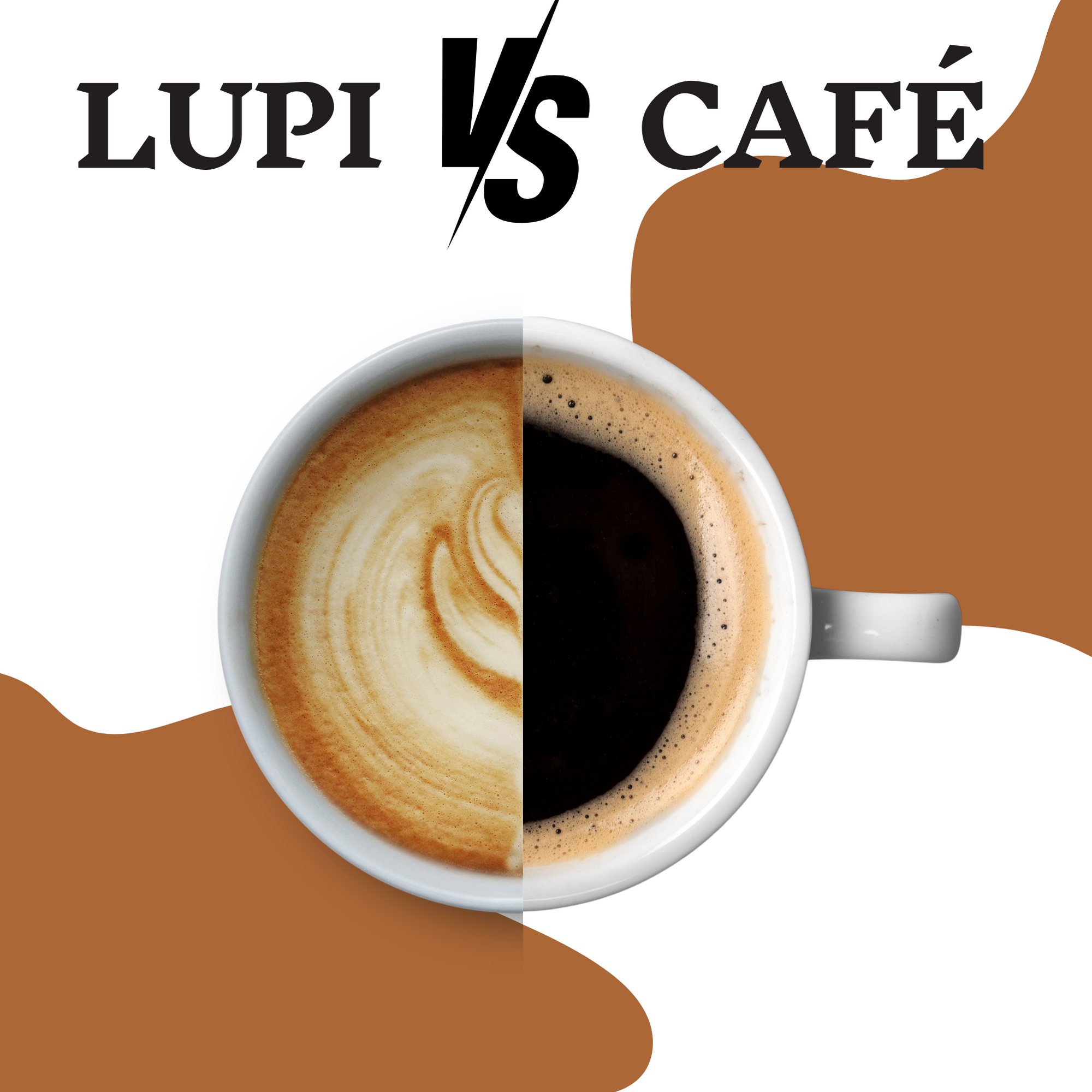 Café de lupin vs café Traditionnel