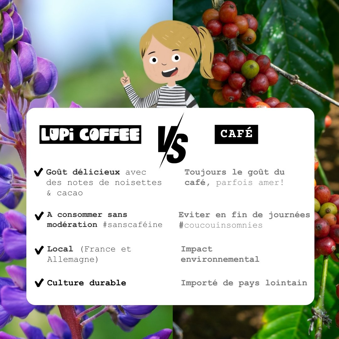 Comparaison entre Lupi Coffee et café classique pour avis café de lupin