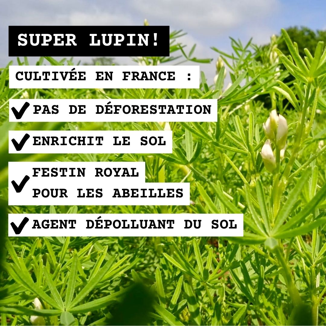 Lupi FRENCHIE - café de lupin 100% Français