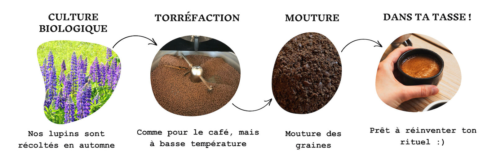 Processus de fabrication café de lupin